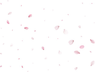 Fototapeta na wymiar Realistic Cherry Petals