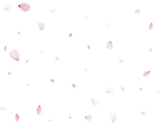 Realistic Sakura Petals.