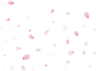 Realistic Sakura Petals.