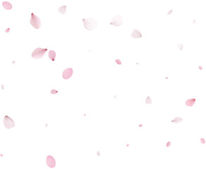Realistic Sakura Petals.