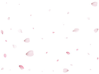 Realistic Sakura Petals.