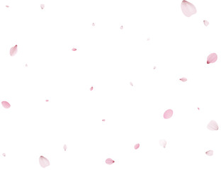 Realistic Sakura Petals.