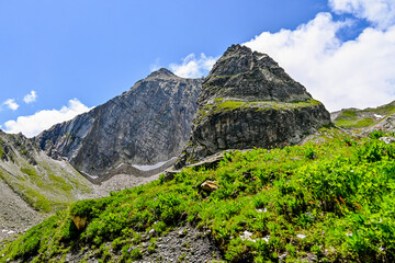 Obraz premium Grosser Sankt Bernhard, Saint-Bernard, St. Bernard, Passstrasse, Alpenpass, Bergstrasse, Alpen, Aostatal, Wanderweg, Sommer, Italien