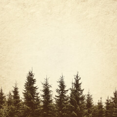 Sepia toned image of a row of Christmas pine trees