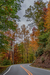 Obraz premium autumn