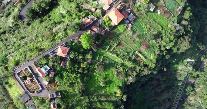 Sao Roque do Faial, Madeira, Portugal