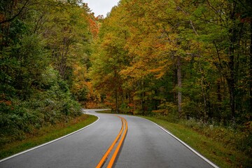 Fototapeta premium autumn