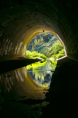 View out of an artificial water canal with lush vegetation on a sunny day in Germany. Oval shaped concrete tunnel with small creek reflecting nature and opening. Warm light at the end of the tunnel.