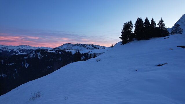 snowy hill and its view of the Col des Aravis with fir trees at sunset