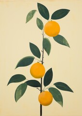 Organic green citrus background yellow fresh mandarin food orange juicy fruit leaves healthy nature