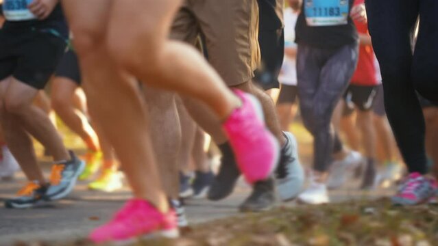Bottom view crowd of people wearing sportswear running on roadway in sunshine morning. Legs view of runners at autumn city marathon . Healthy lifestyle. Concept of sport