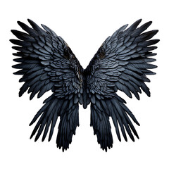 3d beautiful realistic wings