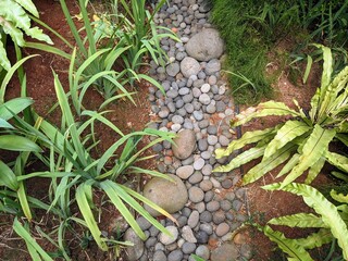 green moss on the stone