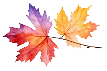 Fototapeta premium Watercolor Tropical colorful autumn dry leaves elements isolated on transparent background, welcome bouquets greeting or wedding card invitation, decoration and mock up.