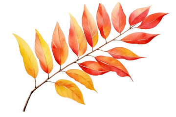 Watercolor Tropical colorful autumn dry leaves elements isolated on transparent background, welcome bouquets greeting or wedding card invitation, decoration and mock up.
