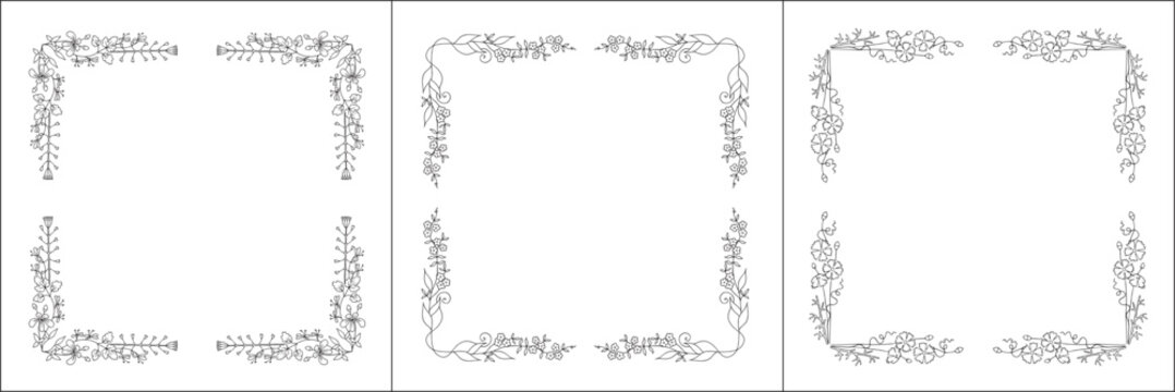 Set of three vector frames with field flowers. Elegant black and white monochrome ornamental corners. Vector frame for all sizes and formats. Isolated vector illustration.