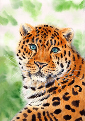 Watercolor illustration of a spotted red leopard with bright blue eyes on a green background (This illustration was created without the use of artificial intelligence!)