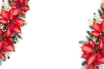 Christmas decoration. Flowers of red orange poinsettia, branch christmas tree, berries mistletoe, red berries on white background with space for text. Top view, flat lay