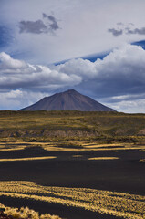 Fototapeta premium Volcanic Beauty of Payunia under a Blue Sky