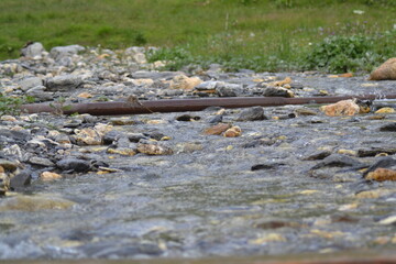 L'eau d'un ruisseau de montagne