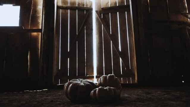 In the middle of the old stable, there are several pumpkins on the ground. A great concept for Halloween.