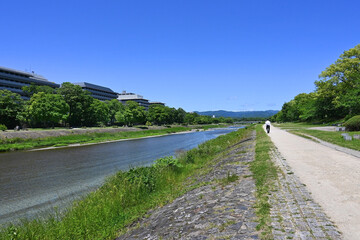 Fototapeta na wymiar 五月晴れ新緑の京都市鴨川の風景