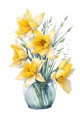 Watercolor illustration, vase of Daffodil flowers.