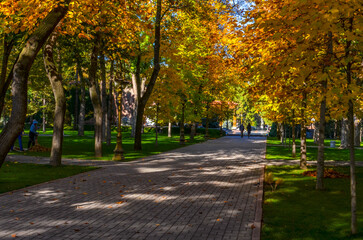 walk path in Ankhor Park in autumn (Tashkent, Uzbekistan)