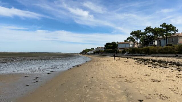 Plage de Ronce les bains - promenade femme et chien