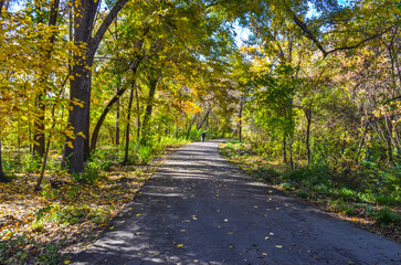 Obraz premium walkway in Tashkent Botanical Garden during fall season (Tashkent, Uzbekistan)