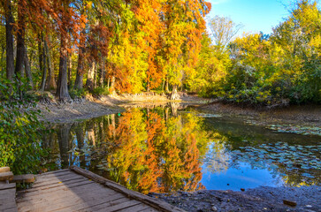Fototapeta na wymiar colorful trees and small pond in North American section of Tashkent Botanical Garden during fall season