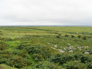 Blick von der Cheese Wring auf die weite Landschaft des Bodmin Moor England