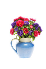 Arrangement of aster flowers
