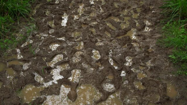 A very wet and muddy woodland trail full of foot and boot prints