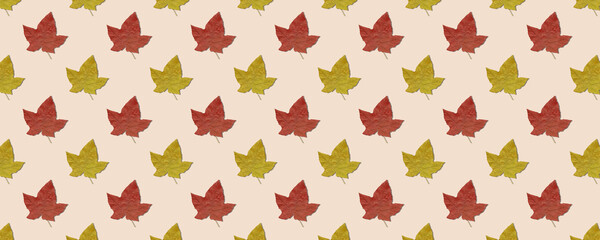 Seamless pattern of multicolored leaves isolated on pink background.
