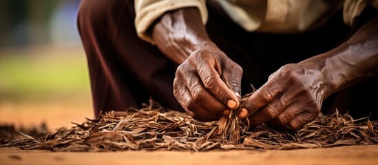African man drying a clove on a thatched mat in Zanzibar Tanzania With copyspace for text