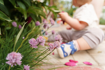 Obraz na płótnie Canvas Cute baby kid sitting near growing peonies