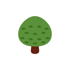 🌳 Deciduous