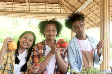 Group of happy Multiethnic teenager friend holding organic food products from their own farm at...