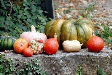Naklejka premium halloween