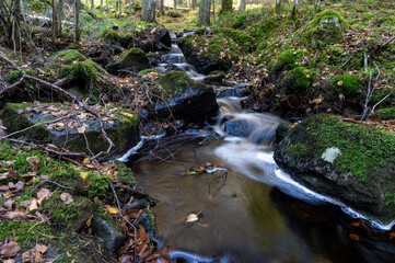 Closeup of water stream through autumn forest