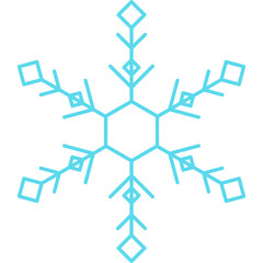 Winter Snowflake Icon
