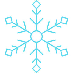 Winter Snowflake Icon

