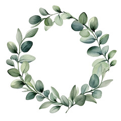 watercolor drawing, wreath, round frame of eucalyptus leaves. delicate illustration, clipart