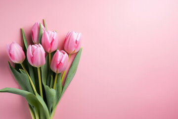 Rose flowers on pink background. Valentines day, mothers day, women day concept