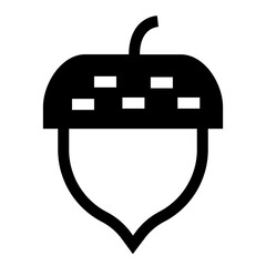 acorn