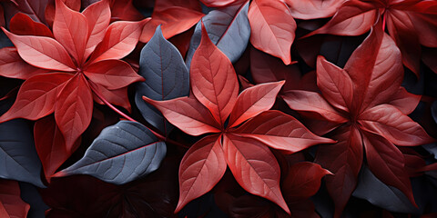 red leaves background