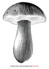 Porcini mushroom vintage illustration black and white clip art - 662864002