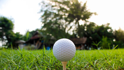 Golf balls and tees placed on the grass.