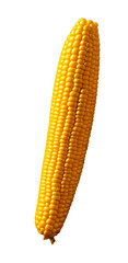 corn cob isolated on white or transparent background